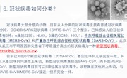 冠状病毒如何分类？  