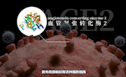 关于新冠肺炎的一切｜回形针