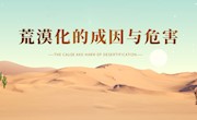荒漠化的成因与危害