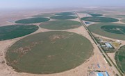 中国治沙：向大漠收复失地 让黄沙遍地生金