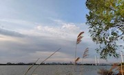  学习湿地保护法，守护好一方水土｜绿会保护地 