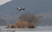  [科普中国]-用化妆品也能污染环境？塑料微珠是“罪魁祸首” 