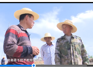 杨海兴