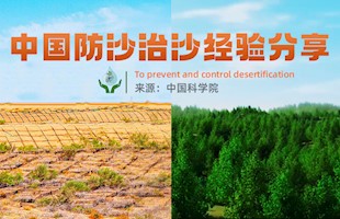 中国防沙治沙经验分享