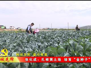 张化成