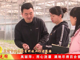 高丽萍
