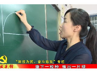 淮萍萍