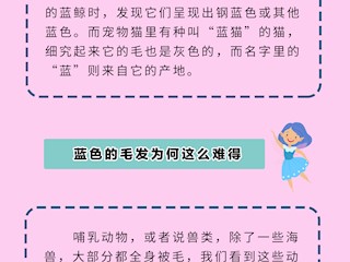 为什么我们长不出蓝头发？