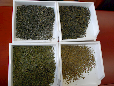陇南绿茶