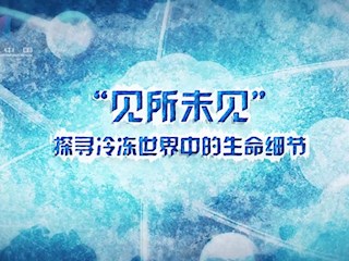 “见所未见”，探寻冷冻世界中的生命细节 