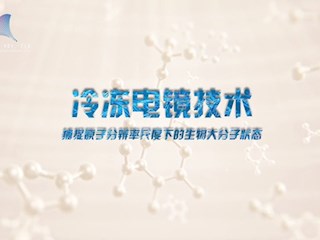 冷冻电镜技术 捕捉原子分辨率尺度下的生物大分子状态