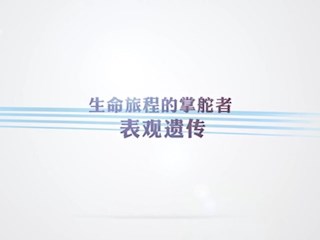 生命旅程的掌舵者——表观遗传