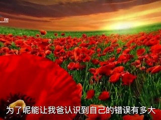添加“罂粟”的食物会让人上瘾吗... 