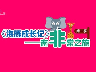 海豚成长记 第07集 南非地标