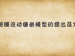 细胞膜流动镶嵌模型的提出及发展