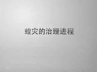 蝗灾的治理进程