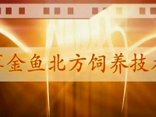 草金鱼北方饲养技术 