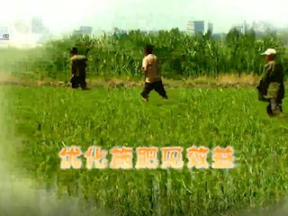 寒地水稻巧施肥核心技术介绍