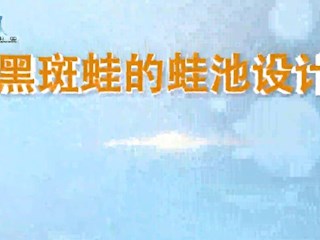 黑斑蛙的蛙池设计