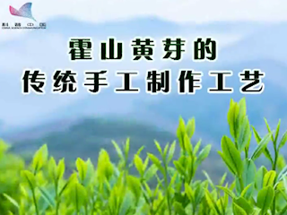 霍山黄芽的传统手工制作工艺