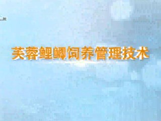 芙蓉鲤鲫饲养管理技术
