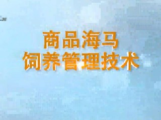 商品海马饲养管理技术