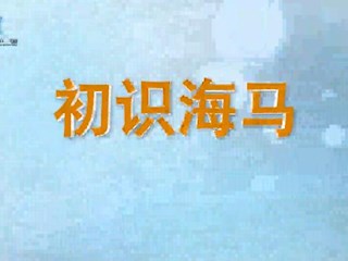 初识海马
