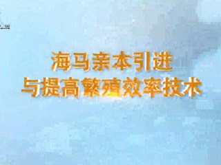 海马亲本引进与提高繁殖效率技术