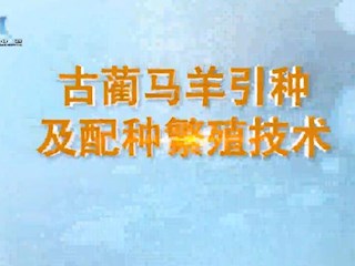 古蔺马羊引种及配种繁殖技术