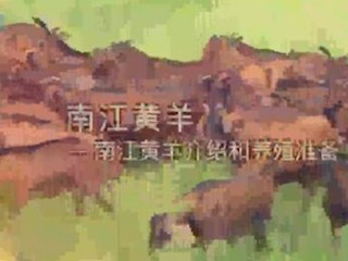 南江黄羊介绍及养殖准备
