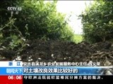 我国现代生态循环农业试点获成功