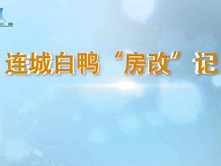 连城白鸭 房改记