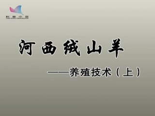 河西绒山羊——养殖技术（上）