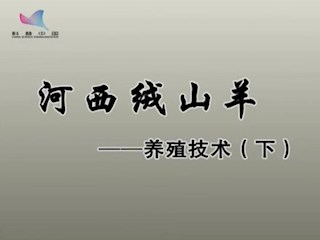 河西绒山羊——养殖技术（下）
