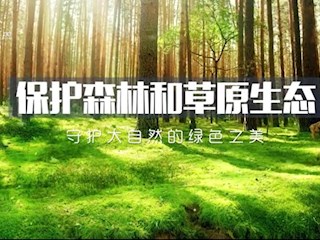 张新时院士：保护森林和草原生态—守护大自然的绿色之美