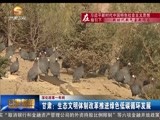 深化改革一年间 甘肃：生态文明体制改革推进绿色低碳循环发展