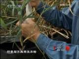 资源能够循环利用的绿色节能房
