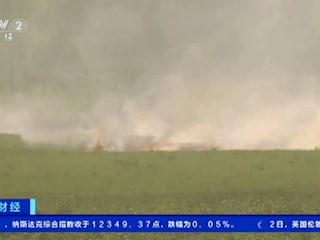 印度：焚烧秸秆致空气污染省钱环保难两全