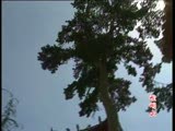 甘肃平凉崆峒山