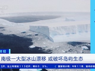 南极一大型冰山漂移 或破坏岛屿生态