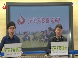 水稻绿色增效技术模式