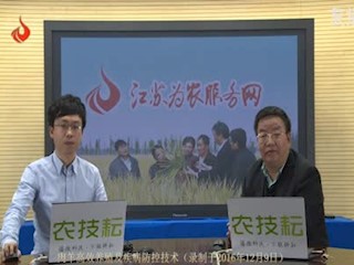 肉羊高效养殖及疾病防控技术