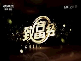 门外汉养猪有高招 猪粪还能赚千万
