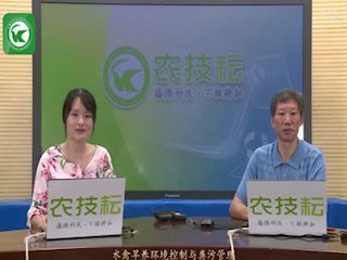 水禽旱养环境控制与粪污管理