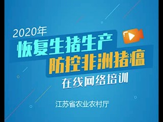 生猪稳产保供“新九条”解读