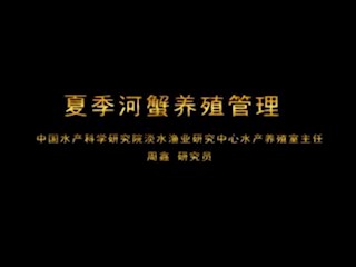 夏季河蟹养殖管理