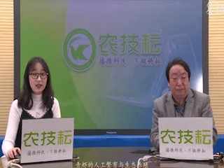 青虾的人工繁育与生态养殖