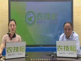 斑点叉尾鮰养殖技术