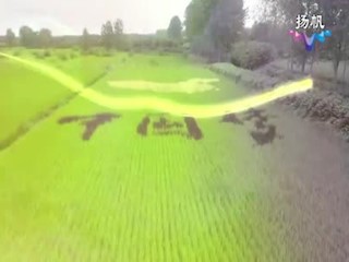 “稻前虾”早虾大虾养殖技术及推广
