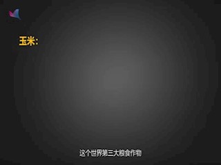 世界主要农作物生产情况